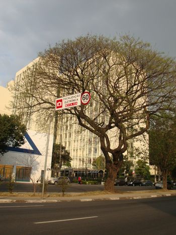 Foto 3 do Condomnio Residencial Campos Elseos, em Barra Funda / Embu das Artes
