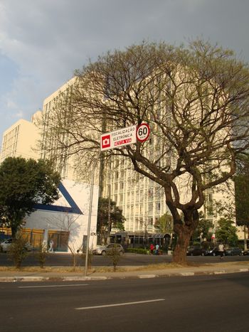 Foto 2 do Condomnio Residencial Campos Elseos, em Barra Funda / Embu das Artes