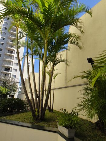 Foto 18 do Tetuan, em Chácara Santo Antônio (Zona Sul) / São Paulo oferecendo Jardim, Piscina, Piscina Infantil, Playground, Salão de Festa