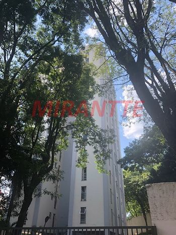 Foto 37 do Colinas De Santana, em Mandaqui / São Paulo oferecendo Aquecimento Central