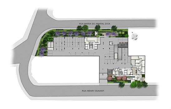 Planta 7