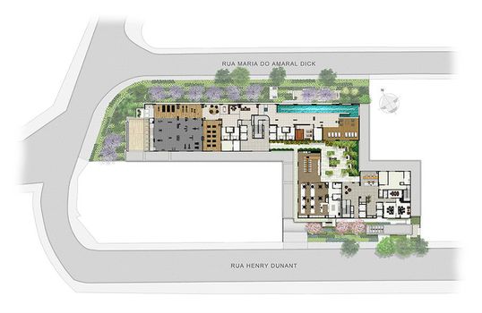 Planta 11