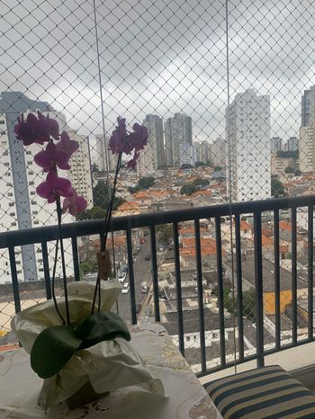 Foto 28 do Residencial Innovatore, em Cursino / Campinas oferecendo Aquecimento Central