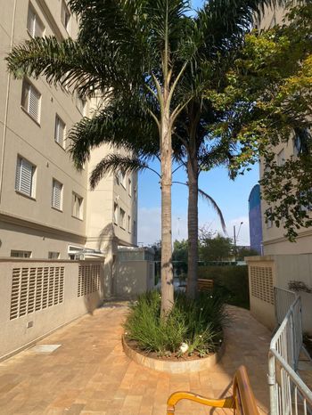 Foto 1 do Flex Pauliceia, em Paulicéia / Ribeirão Preto