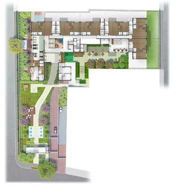 Planta 4