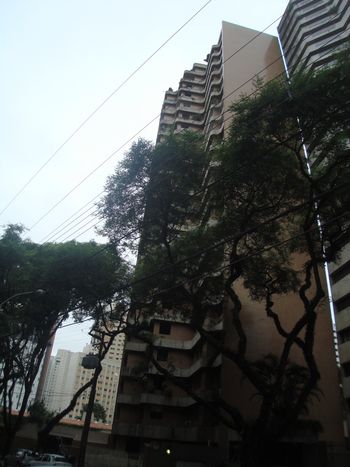 Foto 1 do Rio Madeira, em Batel / Curitiba