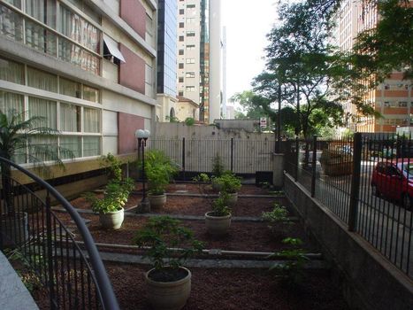 Foto 1 do Buenos Aires, em Consolação / São Paulo oferecendo Jardim
