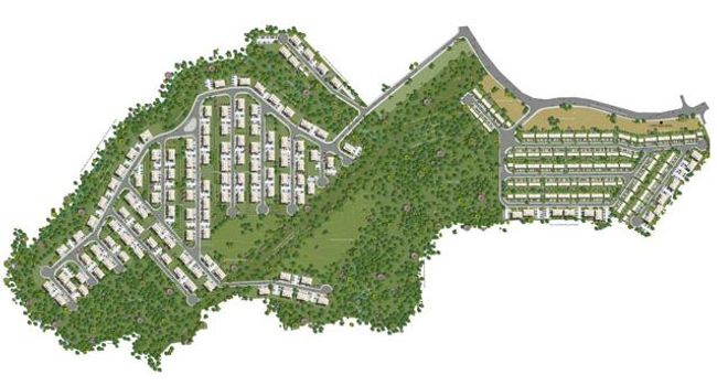 Planta 7