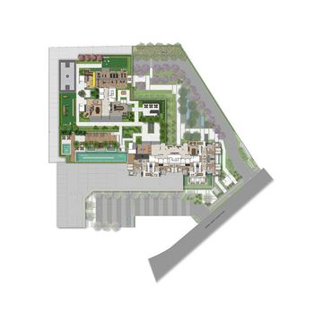 Planta 6