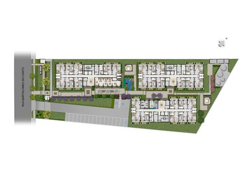 Planta 4