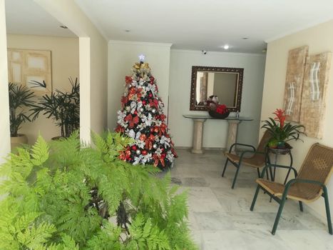Foto 16 do Blanco Chen, em Vila Ida / São Paulo