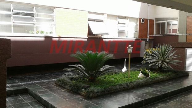 Foto 12 do Ribeirão Preto, em Guapira / São Paulo