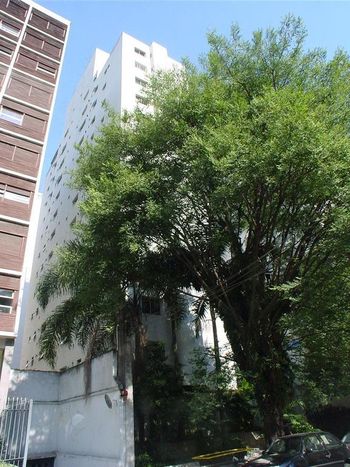 Foto 2 do Fabiana, em Paraíso / São Paulo