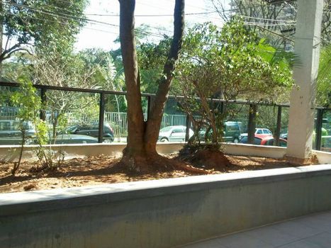 Foto 5 do Fernao Dias, em Pinheiros / São Paulo