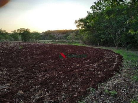 Foto 4 do(a) Terreno false à venda em Jardim Vale Verde, Londrina
