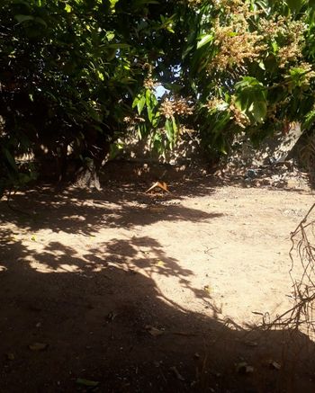 Foto 20 do(a) Terreno false à venda em Vila Inhamupe, Jundiaí