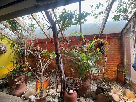 Foto 11 do(a) Casa de 3 quartos à venda em Chora Menino, São Paulo
