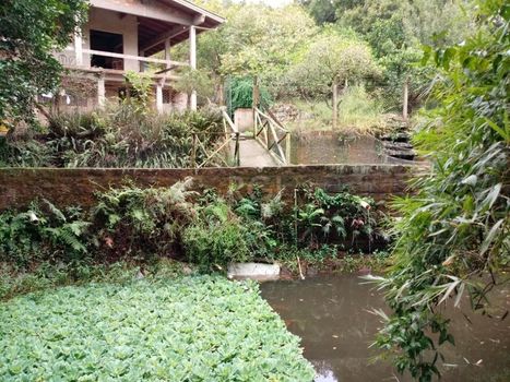 Foto 5 do(a) Fazenda / Sítio / Chácara de 3 quartos à venda em Krahe, Viamão