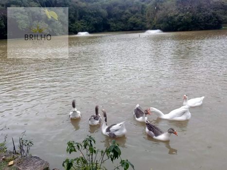 Foto 5 do(a) Fazenda / Sítio / Chácara false à venda em Jardim das Margaridas, Jandira