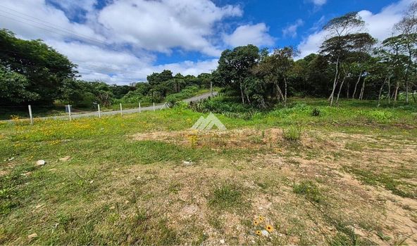 Foto 5 do(a) Terreno false à venda em Bonfim, Almirante Tamandaré