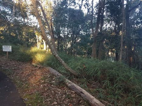 Foto 2 do(a) Terreno false à venda em Green Park, Nova Lima