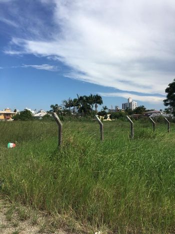 Foto 6 do(a) Terreno false à venda em Humaitá, Tubarão