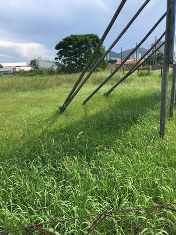 Foto 10 do(a) Terreno false à venda em Humaitá, Tubarão