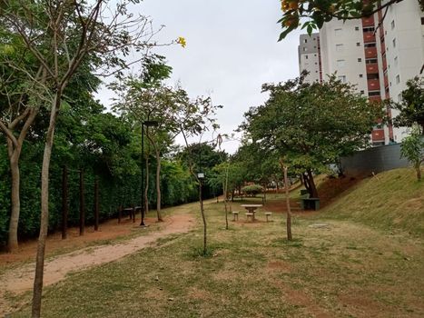 Foto 6 do(a) Apartamento de 2 quartos à venda em Vila Bela Vista (Zona Norte), São Paulo