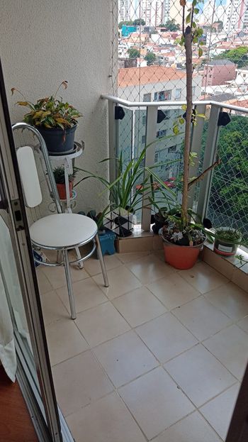 Foto 2 do(a) Apartamento de 3 quartos à venda em Vila Ipojuca, São Paulo