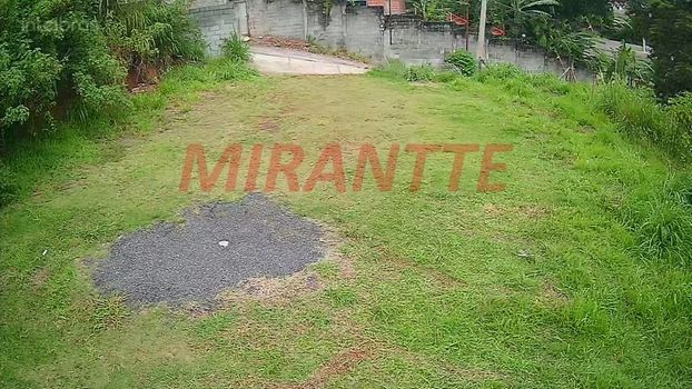 Foto 12 do(a) Fazenda / Sítio / Chácara de 3 quartos à venda em Jardim Francisco Mendes, São Paulo