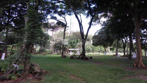 Foto 4 do(a) Fazenda / Sítio / Chácara false à venda em Roselândia, Passo Fundo
