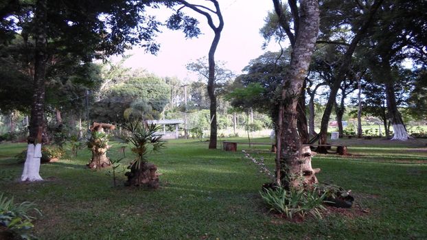 Foto 11 do(a) Fazenda / Sítio / Chácara false à venda em Roselândia, Passo Fundo