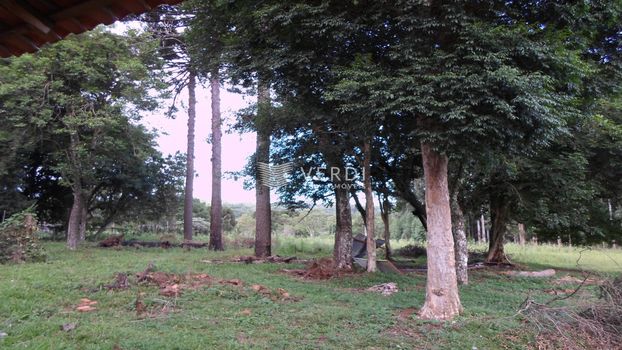 Foto 16 do(a) Fazenda / Sítio / Chácara false à venda em Roselândia, Passo Fundo
