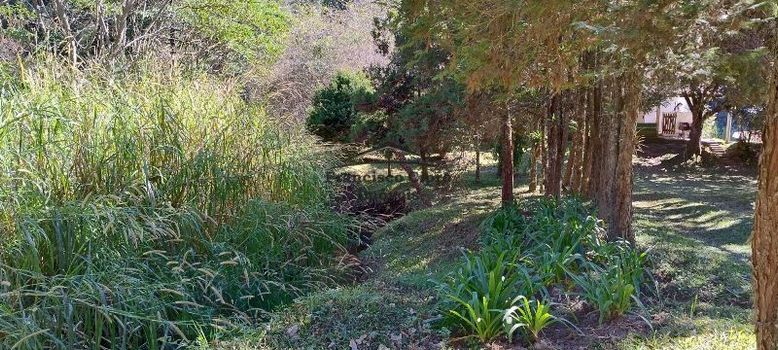 Foto 34 do(a) Fazenda / Sítio / Chácara de 3 quartos à venda em null, Cunha