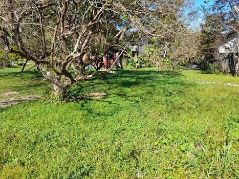 Foto 3 do(a) Terreno false à venda em Loteamento Morada do Mar, Caraguatatuba