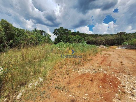 Foto 4 do(a) Fazenda / Sítio / Chácara false à venda em São Dimas, Colombo