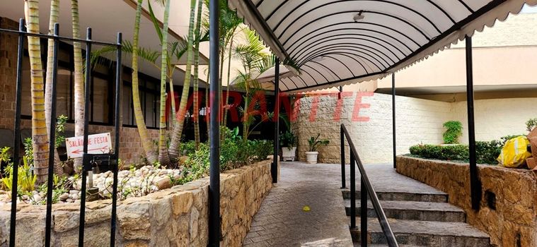 Foto 42 do(a) Cobertura de 3 quartos à venda em Vila Guilherme, São Paulo