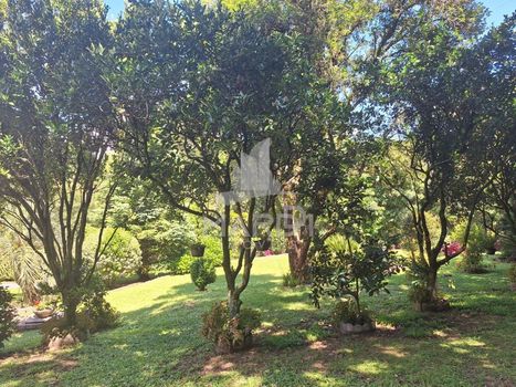 Foto 42 do(a) Casa em Condomínio de 3 quartos à venda em Cascata, Porto Alegre