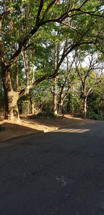 Foto 3 do(a) Casa em Condomínio false à venda em Jardim Sorirama (Sousas), Campinas