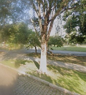 Foto 34 do(a) Apartamento de 3 quartos à venda em Jardim Lindóia, Porto Alegre