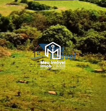 Foto 13 do(a) Fazenda / Sítio / Chácara de 5 quartos à venda em Área Rural de Luziânia, Luziânia