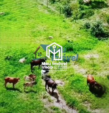 Foto 1 do(a) Fazenda / Sítio / Chácara de 5 quartos à venda em Área Rural de Luziânia, Luziânia