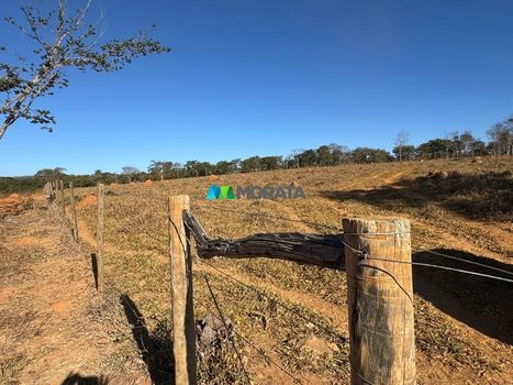 Foto 33 do(a) Fazenda / Sítio / Chácara de 1 quartos à venda em null, Baldim