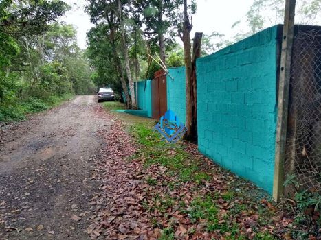 Foto 23 do(a) Fazenda / Sítio / Chácara de 2 quartos à venda em Tatetos, São Bernardo do Campo