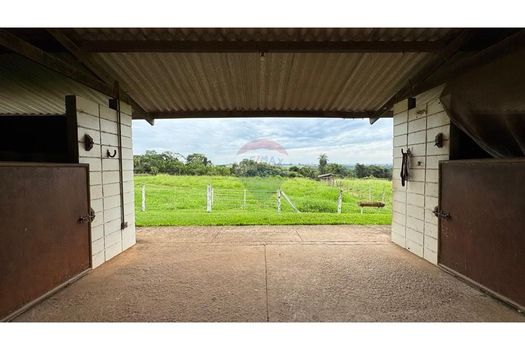 Foto 33 do(a) Fazenda / Sítio / Chácara de 3 quartos à venda em Jardim Ipê Pinheiro, Mogi Guaçu