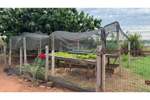 Foto 25 do(a) Fazenda / Sítio / Chácara de 3 quartos à venda em Jardim Ipê Pinheiro, Mogi Guaçu
