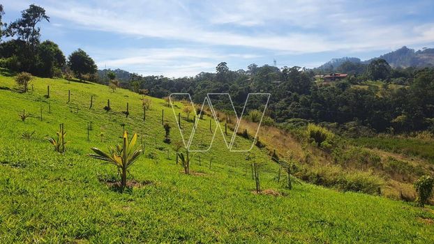 Foto 20 do(a) Fazenda / Sítio / Chácara de 2 quartos à venda em Sousas, Campinas