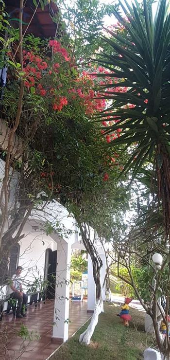 Foto 40 do(a) Fazenda / Sítio / Chácara de 3 quartos à venda em null, Bom Jesus dos Perdões