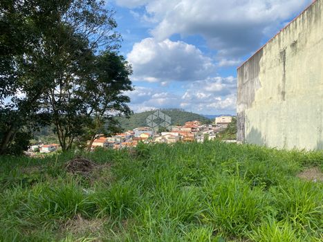 Foto 6 do(a) Terreno false à venda em Capoavinha, Mairiporã