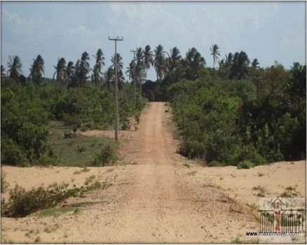 Foto 13 do(a) Terreno false à venda em null, Paraipaba